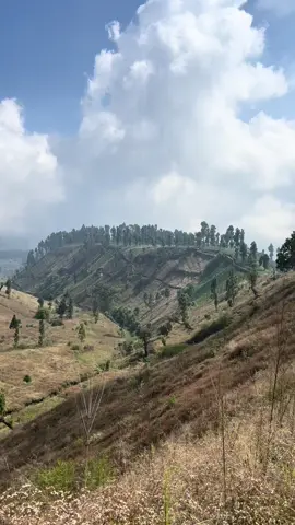 Baru di pos 1 pemandanganya sudah secakeppp ini😍#slametmountain #slametviasawangan #gunungslamet #gunung #mountain 
