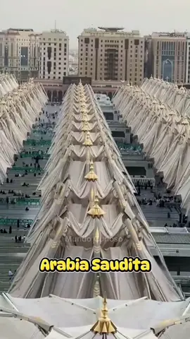 ¿Sabías que en Arabia Saudita se encuentran los parasol más grandes del mundo, diseñados para combatir las extremas temperaturas del desierto? Este proyecto monumental costó miles de millones de dólares y hoy en día se ha convertido en una de las construcciones más sorprendentes del planeta. Cada sombrilla gigante alcanza los 15 metros de altura y, cuando se abre por completo, cubre un área de más de 6700 pies cuadrados, es decir, ¡más grande que una cancha de baloncesto! Gracias a su tamaño y diseño, son capaces de ofrecer sombra a miles de personas al mismo tiempo. Pero su función no se limita solo a proteger del sol. Estas sombrillas cuentan con un ingenioso sistema en forma de cuenco en el centro, que les permite recoger agua de lluvia. De esta manera, ayudan a ahorrar un recurso tan escaso y valioso en medio del desierto: el agua. Actualmente, la plaza central de Medina cuenta con 250 de estas estructuras, todas equipadas con un sistema de aire acondicionado interno que expulsa aire fresco. Así, los visitantes pueden disfrutar de un espacio agradable incluso durante las horas de mayor calor. Y cuando llega la noche, la tecnología hace su magia: las sombrillas se pliegan automáticamente y se transforman en fuentes de iluminación que iluminan todo el lugar. No solo brindan frescura y comodidad, sino que también se han convertido en un símbolo arquitectónico que atrae a turistas de todo el mundo. #tiktokviral  #curiosidades #SabiasQue #losangeles #europa 
