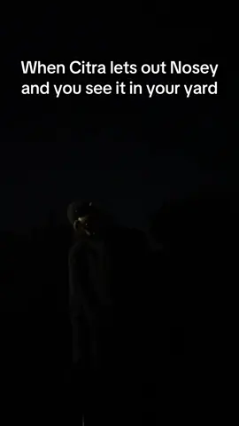 I am terrified of what’s to come 😂😂 #citra #nosey #animatronic #fnaf 