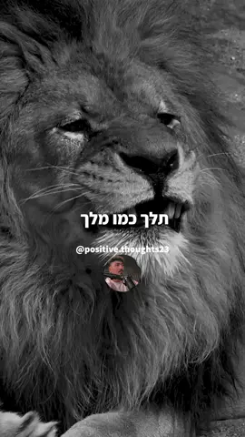 @Mishelnisimov   #מישלניסימוב #THEWOLF 