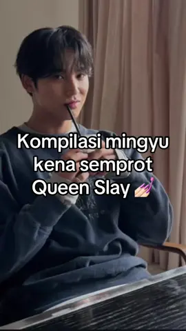 Cr. @Vindy Lee  Mingyu malu ❌ Carat malu ✅