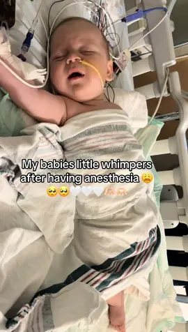 bless his sweet little heart 