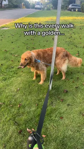 It’s his his way or the highway. 