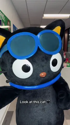 Look at #Chococat 🖤 #sanrio #cat 