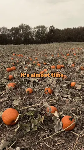 🎃👻💀🦇🐦‍⬛