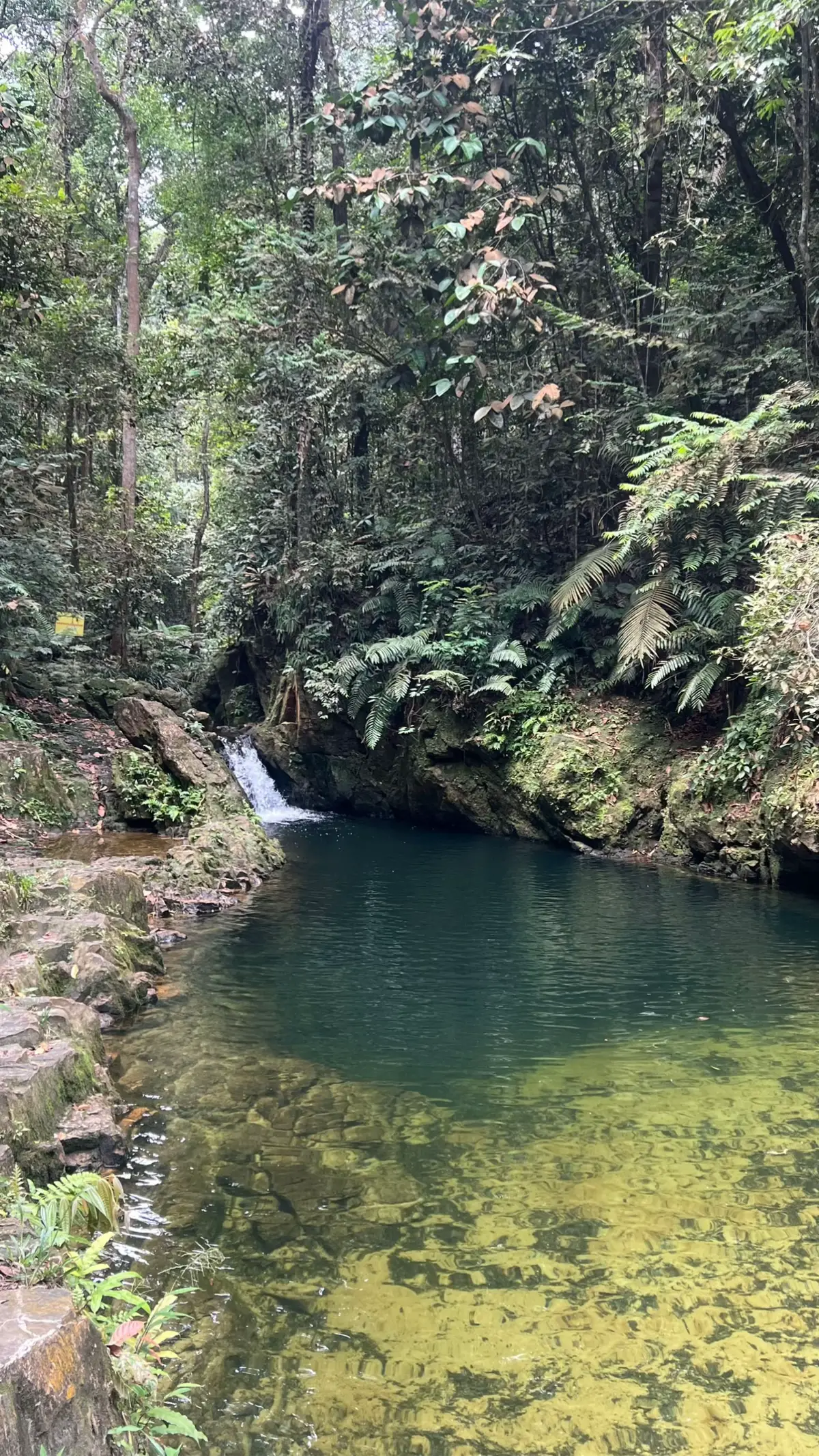 belajar berdamai dengan diri melalui alam🍃