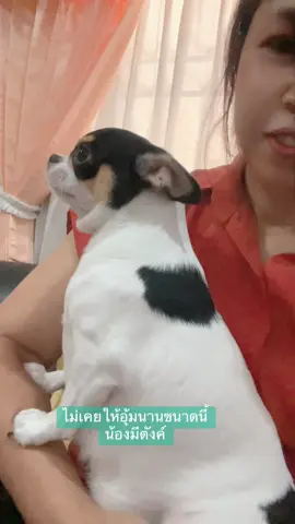 น้องมีตังค์ วันนี้ยอมให้อุ้มแล้ว #ทาสหมา  #ทาสแมว  