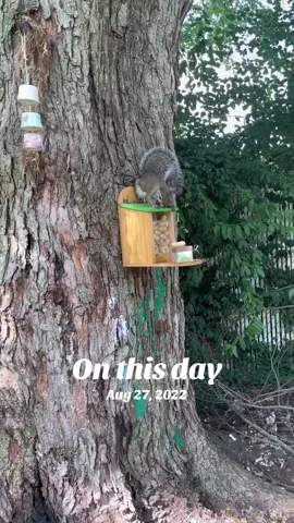 #onthisday 