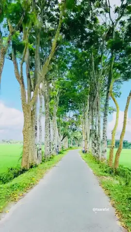 লোকেশন কোথায় চেনেন নাকি….?  #grow #account #viral #viralvideo #foryou #foryoupage #capcut #tsarafat @♦️♦️arrin ♦️♦️ @🌹🅺🆄🅳🅳🆄🆂 🌹 @༒☆  Ⓡⓐⓚⓘⓑ  ☆༒ @<❤️🌹{S~U~Z~O~N}🌹❤>  @Apon khan 