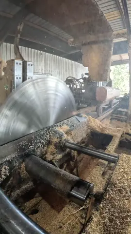 Watch the full milling process of turning Southern Yellow Pine logs into 4x4 cribbing. From the massive 66” solid tooth saw on the head rig, through the gang saw, and finally to the trim saw, see each stage of cutting in action. Perfect for woodworking, sawmill, and lumber processing enthusiasts.  #Sawmill #Woodworking #Lumber #SouthernYellowPine #Milling