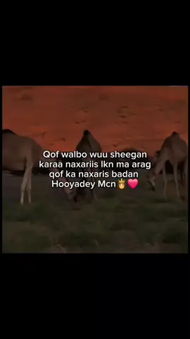 Mom ❤️👩  .... #reposted #viewsproblem #mom 