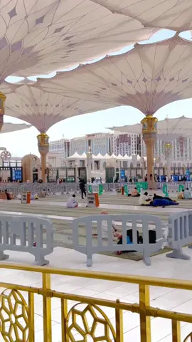 لجپال نبی میرے درداں دی دوا دینا#for you#fyp #viral video #islamic contant#madina shariaf#viral video #