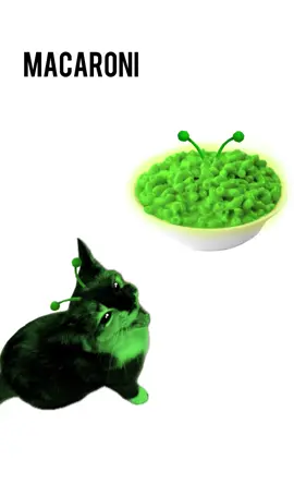 Macking cheese #cat #alien #gnarpy 