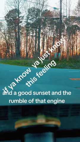 just facts for true car people and there cars. #camaro #chevy #life #builtnotbought 