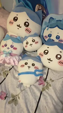 Adorable Hachiware soft plush from Miniso added to my collection!! I love him so much! #miniso #chiikawa #hachiware #minisoftiktok #hachiwareplush @MINISO @MINISO United States 