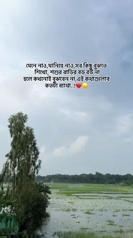 মেনে নাও,মানিয়ে নাও,সব কিছু বুঝতে  শিখো, শশুর বাড়ির বড় বউ না হলে কখনোই বুঝবেন না,এই কথাগুলোর কতটা ব্যাথা..!💔😞#viral #foryou #viralvideo #tiktokofficial #fyppppppppppppppppppppppp 