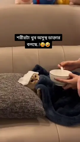 😁😁😁🙈🙈🙄🙄