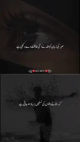 😌😌😌 #urdupoetry #foryou #poetrystatus #bulbul #12rabi_ul_awal 