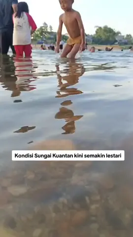 Kondisi Sungai Kuantan kini semakin lestari 🌿🌊. Airnya yang jernih membuat warga setempat kembali bisa mandi, bermain air, hingga menikmati keindahan alam sekitar. 🌞 Anak-anak pun terlihat riang gembira, menandakan bahwa Sungai Kuantan telah menjadi sumber kehidupan dan kebahagiaan masyarakat. Mari kita jaga bersama kelestariannya untuk generasi mendatang 💚. #SungaiKuantan #JagaAlamKita #RiauHijau #SungaiLestari #CintaLingkungan #IndahnyaAlam #EcoFriendly #JernihnyaSungai #RiauBersih #BanggaRiau