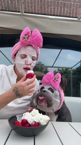 Spaw day with Mr. One Toof and strawberries & whipped cream 🍓❤️ #fyp #foryou #foryoupage #voorjou #voorjoupagina #marenraffieodincupcake #marenenraffie #vj #bundleofbullies  