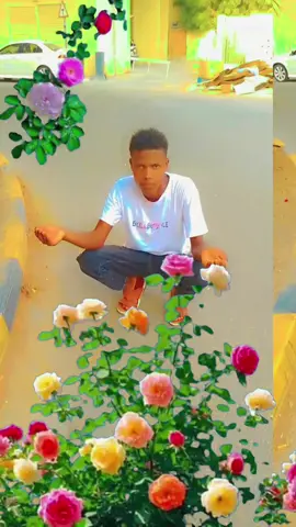 #greenscreen