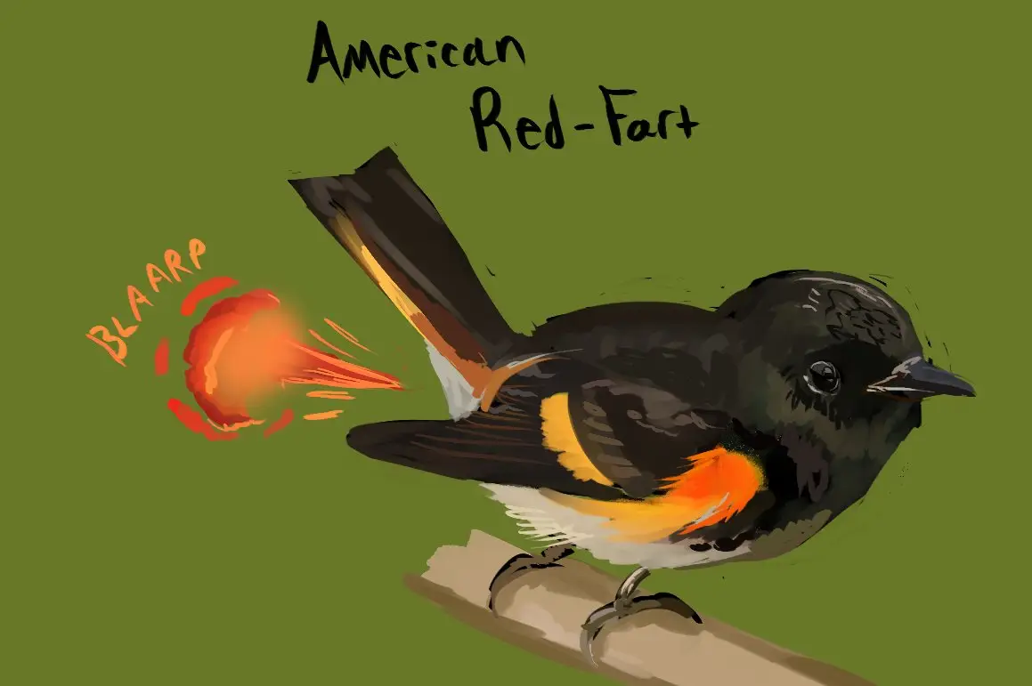I've never heard of a red start, this is a red fart, and boy does it show