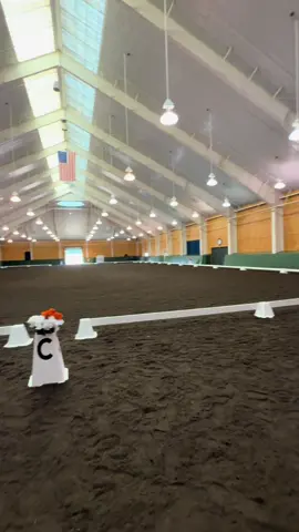 Pineland Farm in New Gloucester ME! Where magic 🪄 happens!! #friesians #kfpsroyalfriesian #friesiansoftiktok #horsesontiktok #equestrians 