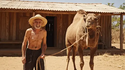 #tiktokviral #nordeste #veo3 #comedia #videoviral 