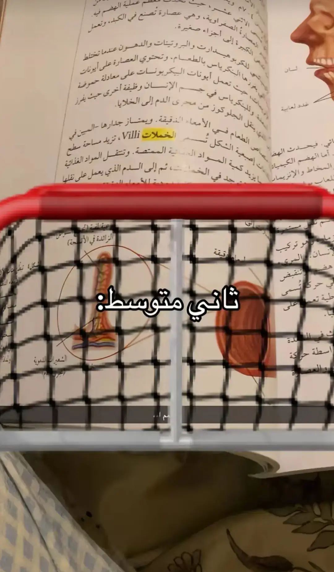 ضاعت_وياك_احلامي