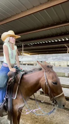 About 161 miles but feels like a 1,000 #foryou #foryoupage #mule #cowboy #salebarn 