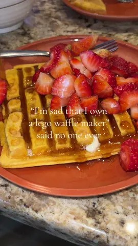 That price is fantastic… it also comes with plates to make paninis and grilled cheese - so much easier for little hands to learn how to cook! #waffles #thirsttrap #adultmoney 