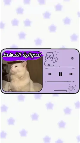هذا المقطع بصوتي🥹💜فولو لرؤية المزيد🙆🏻‍♀️🦋#بصوتي #سبستون_قناة_شباب_المستقبل #تصميمي #قطط #دوبلاج #اكسبلور