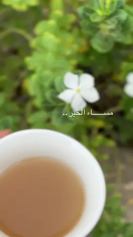 ‏مســــــاء الخير .. #اكسبلورexplore #اكسبلور 