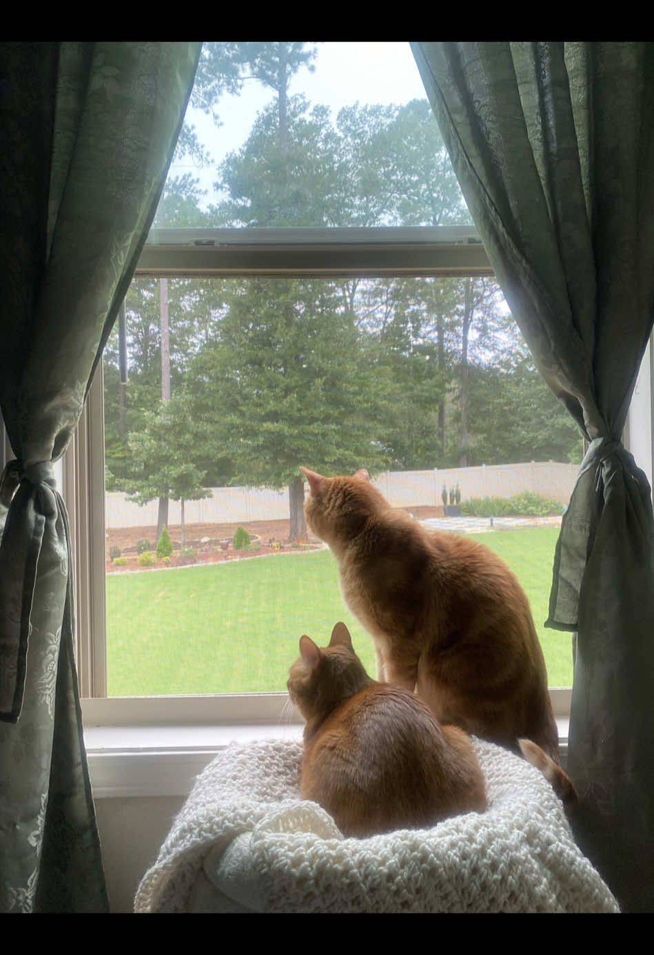They’re sharing a brain cell. 