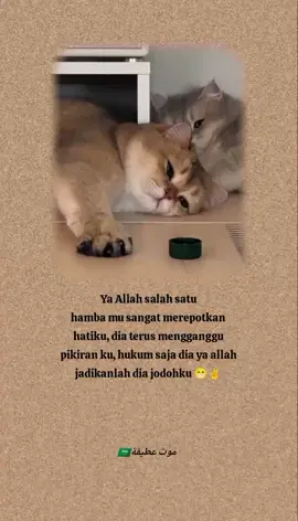 kalau dia gak mau tolong paksa ya Allah🤣 #quotesislami #atifahkhumairoh 
