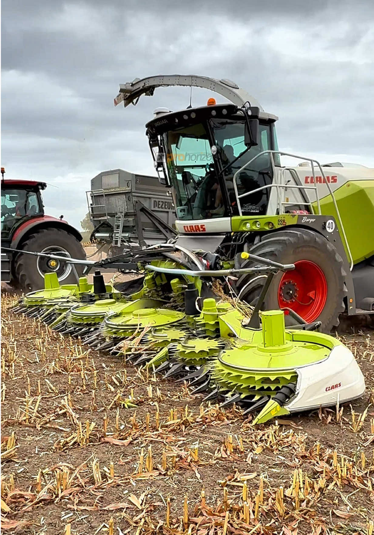 Here is burger in the CLAAS 970 forage harvester working in this field chopping for silage with @Flawborough Farms #silage #claasjaguar #forageharvester #agritok #farmtok 