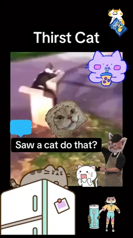#comedy #viral #viralvideo #catsoftiktok #cat 