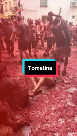 La Tomatina 2025 😂🍅 #Tomatina #LaTomatina2025 #FoodFight #Spain #Tomato 