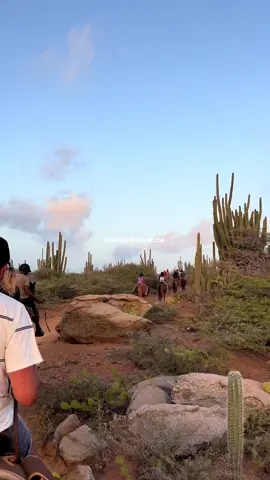 giddy up 🤠 #aruba #aruba🇦🇼 #arubaonehappyisland #arubatravel #arubatiktok 