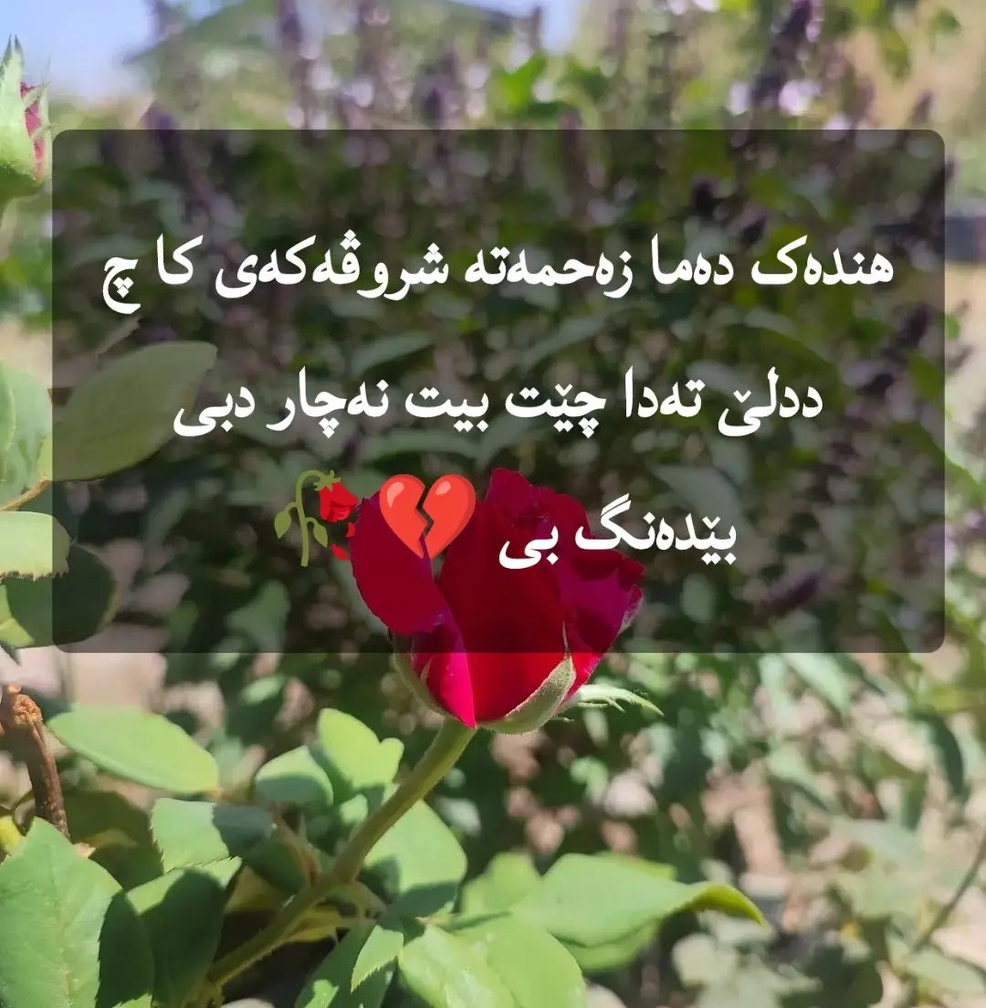 #ئاکرێ_بادینان_دهوك_زاخو_هەولێر 