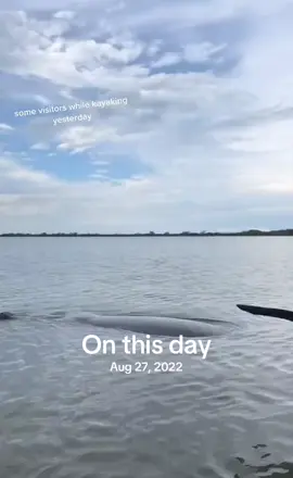#onthisday 
