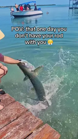 Sometimes the best spot isn’t marked on a map it just shows up when you least expect it.🎣. #fishing #catchingfish #penfishingrod #bassfishing #fishtok 