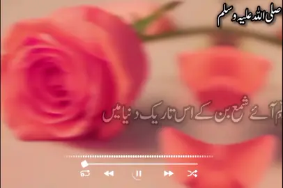 paet 2  صلی اللہ علیہ وسلم  #fouryou #fouryourpage #100millionviews #100millionviews #unfreezemyacount 
