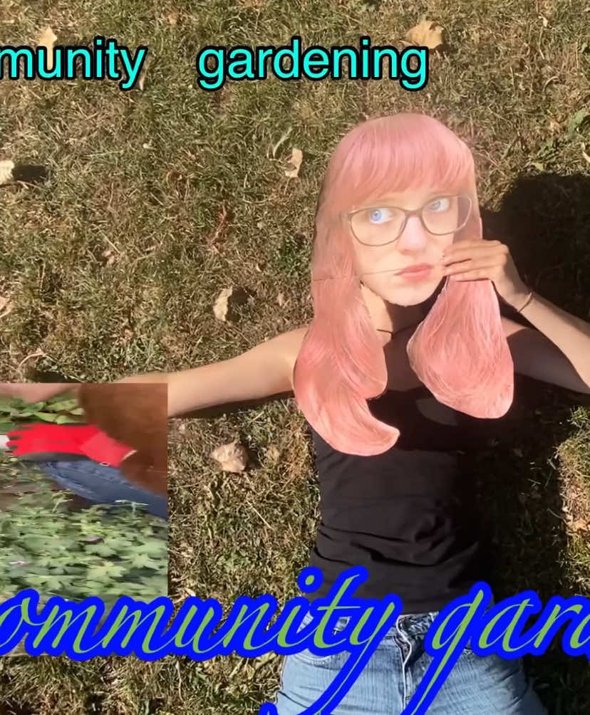 This Summer I A (silly) film by Ellie Dawes  college assignment things thank u @Lani Joy for pretending to be me  #shortfilm #filmmaker #artist #smallartist #collegefilm