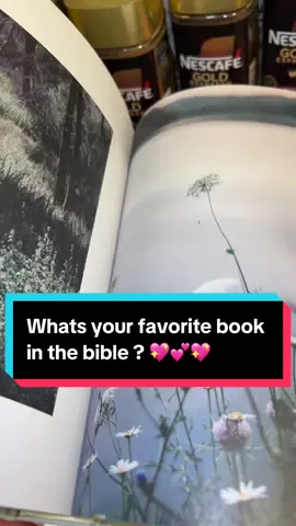 #alabaster the most beautiful books 😍 what’s your favorite book in the Bible ? #foryoupage❤️❤️ #thecheesecakeangel #foryou #fypシ 