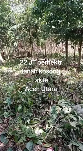 wa 081262571449 #aceh #acehviral #acehtiktok #acehtiktokerscomunity #acehutara 