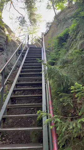 Runter geht’s ja bekanntlich immer leichter… dachte ich 🤯 Diese Treppen im #elbsandsteingebirge fühlen sich an wie ein Endgegner-Level in #wanderlust – Knie im Hardcore-#outdoorliebe-Modus 💪 #naturwunder 