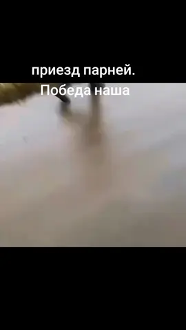 #реуомендации❤️❤️ 
