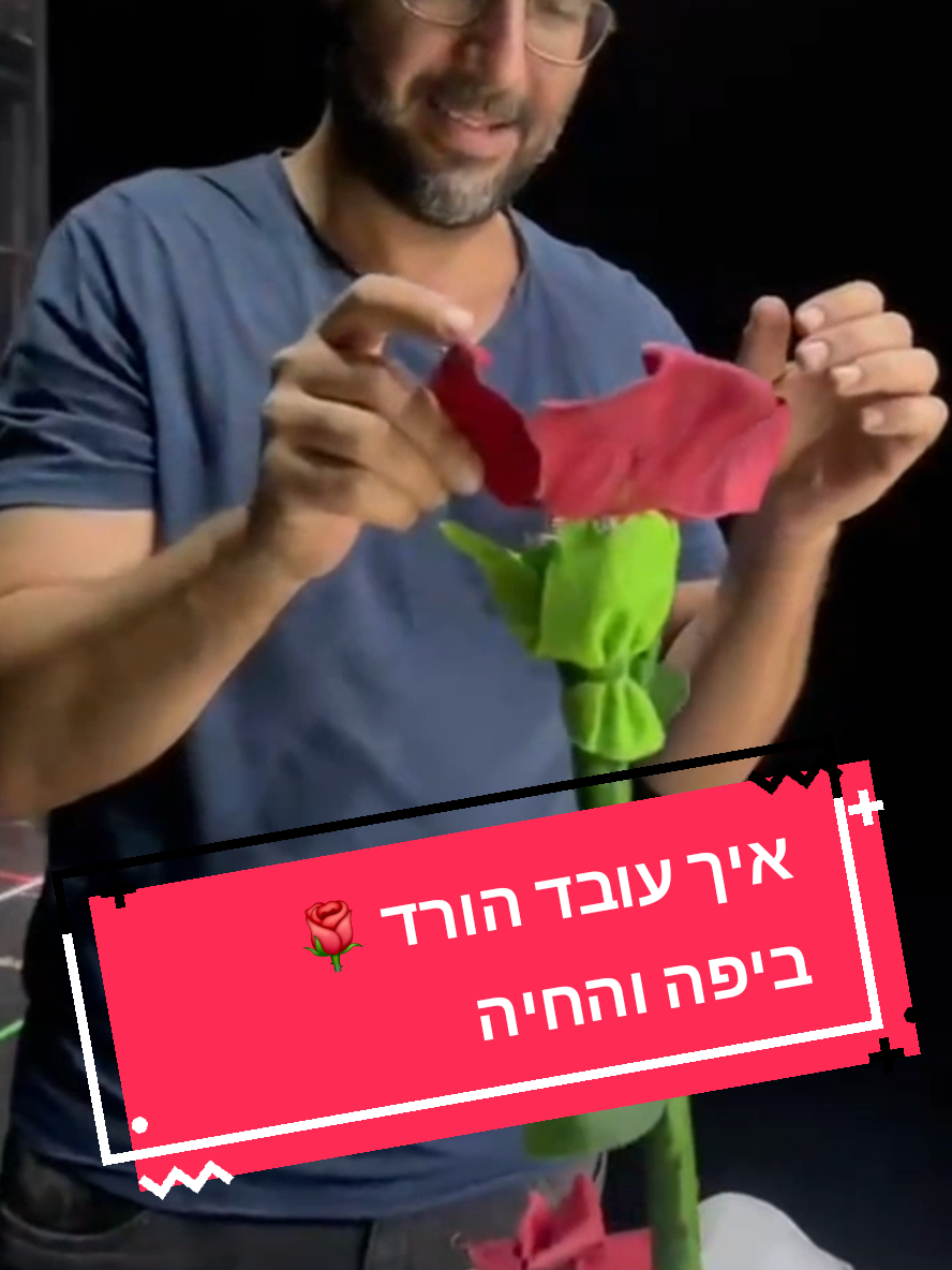 איך עובד הורד 🌹 ביפה והחיה ? @musical_israel #musicals #disneyliveaction #foryou #פוריו #viral 