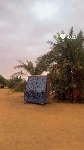 #شوايقه💚السودان_مروي_الخرطوم_بحري_امدر  #شمالنا_ف_الوجدان🌴🌴🌴😍  #الولاية_الشماليه_شمالناااا💕💕  #الشعب_الصيني_ماله_حل😂😂  #مليون_مشاهدة❤ 